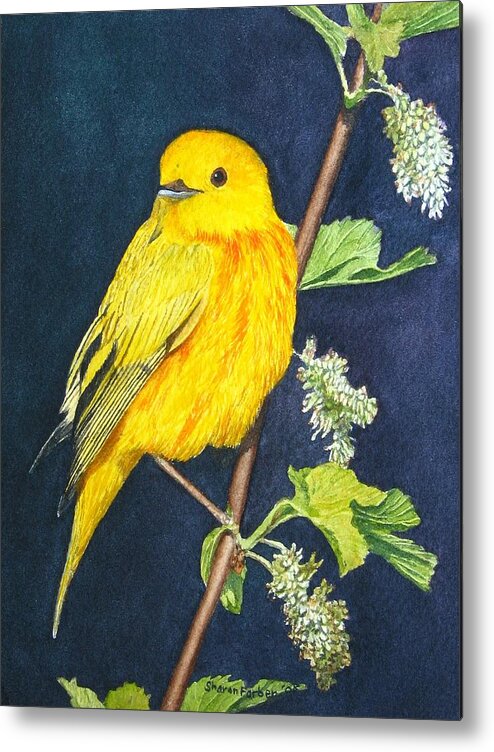 Bird Metal Print featuring the painting Yelllow Warbler by Sharon Farber