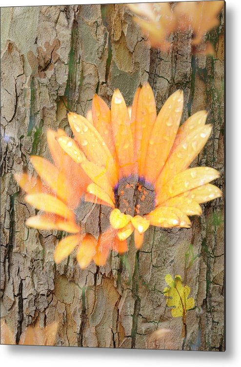 Flower Metal Print featuring the photograph Yellow Flower Bark by Amanda Eberly