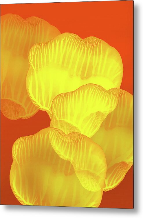 Abstract Metal Print featuring the painting Yellow Rose Petals Falling in the Garden by Amy Vangsgard