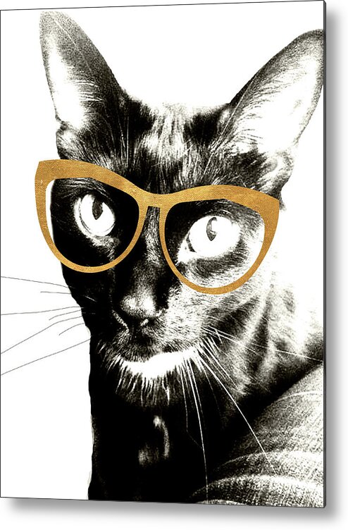 Cool Metal Print featuring the photograph Cool Kat #1 by Kali Wilson