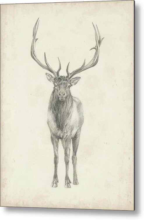 Animals Metal Print featuring the painting Elk Study #1 by Ethan Harper