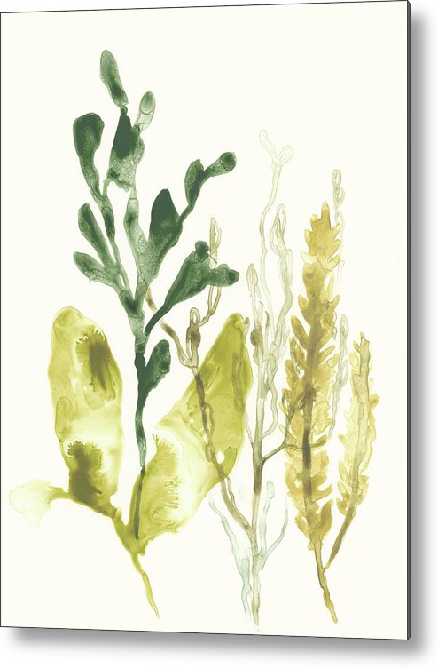 Coastal & Tropical Metal Print featuring the painting Kelp Collection IIi #1 by June Erica Vess