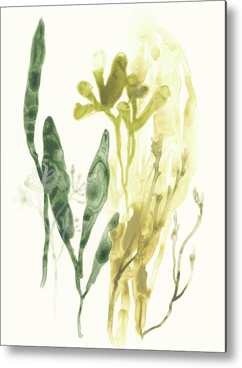 Coastal Metal Print featuring the painting Kelp Collection Vi #1 by June Erica Vess