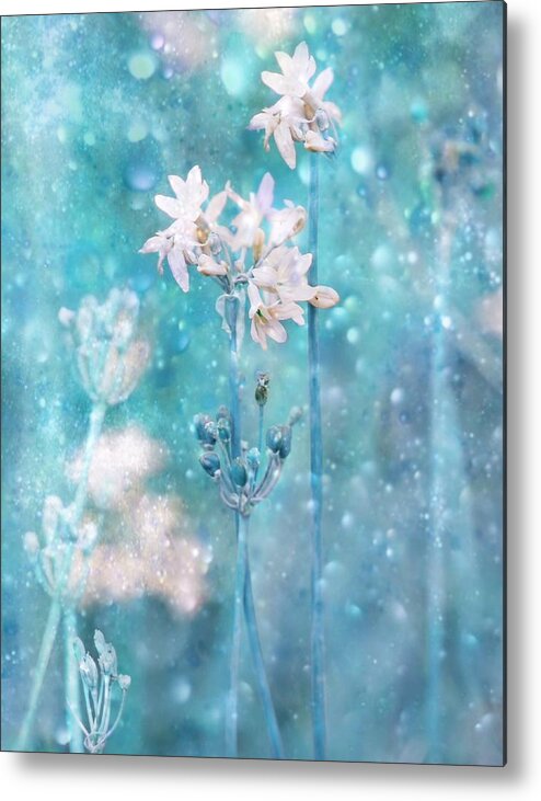 Soft Metal Print featuring the photograph The Complex Magic Of Nature #1 by Delphine Devos
