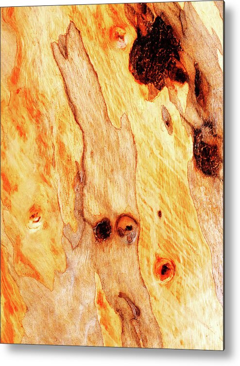 Tree Bark Metal Print featuring the photograph Aussie Gum Tree Bark - 16 by Lexa Harpell