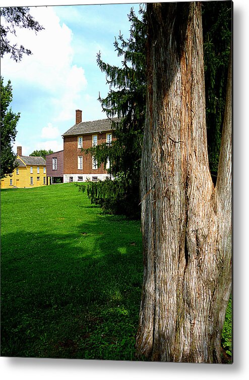 Shaker Landscape Metal Print featuring the photograph Behind Ye Olde Tree Stump by Mike McBrayer