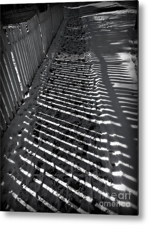 Fence Metal Print featuring the photograph Being Thankful by Frank J Casella