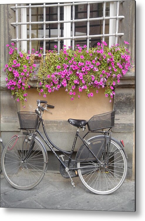 Bicycle Metal Print featuring the photograph Along For the Ride by Patricia Caron