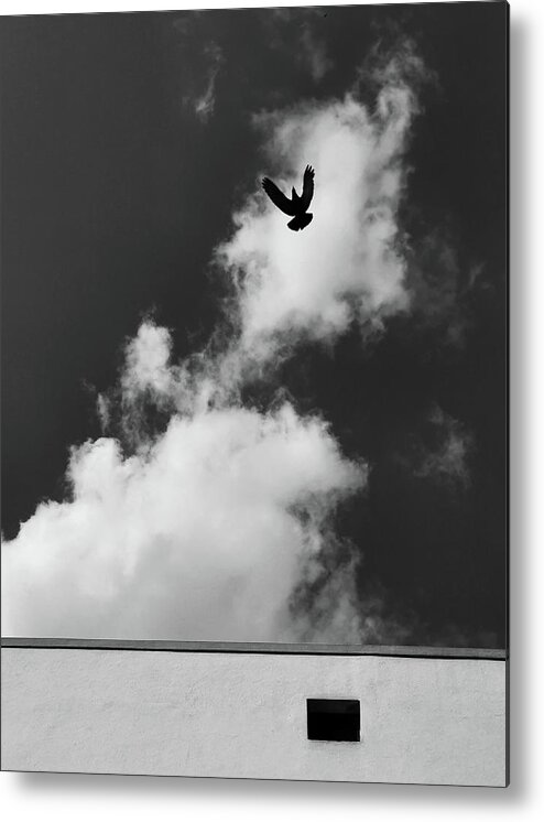 Minimalism Metal Print featuring the photograph Bird Vs Simple Geometry by Prakash Ghai