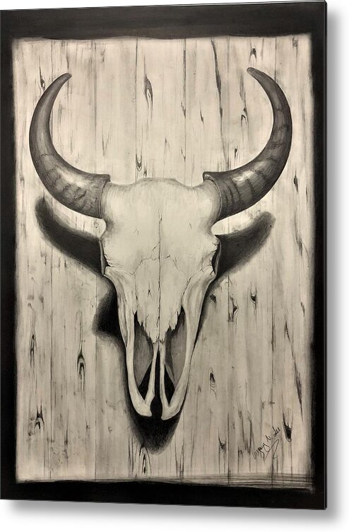 Bison Skull Metal Print featuring the drawing Bison Skull by Gregory Lee