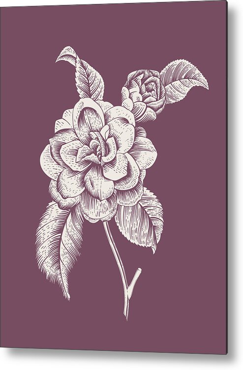 Camellia Metal Print featuring the mixed media Camelia Purple Flower by Naxart Studio