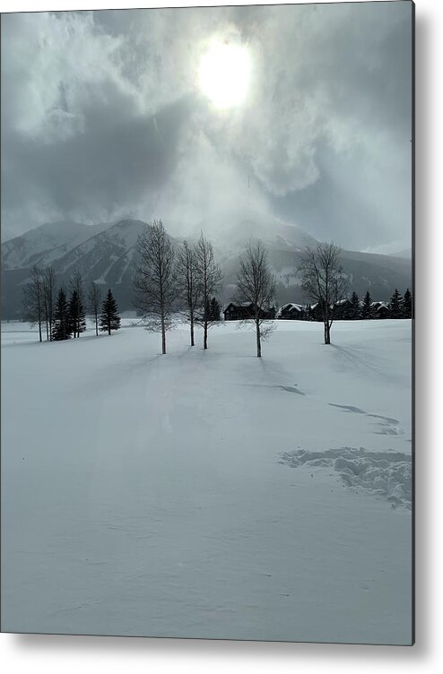 Landscape Metal Print featuring the photograph Colorado snow day by Colette Lee