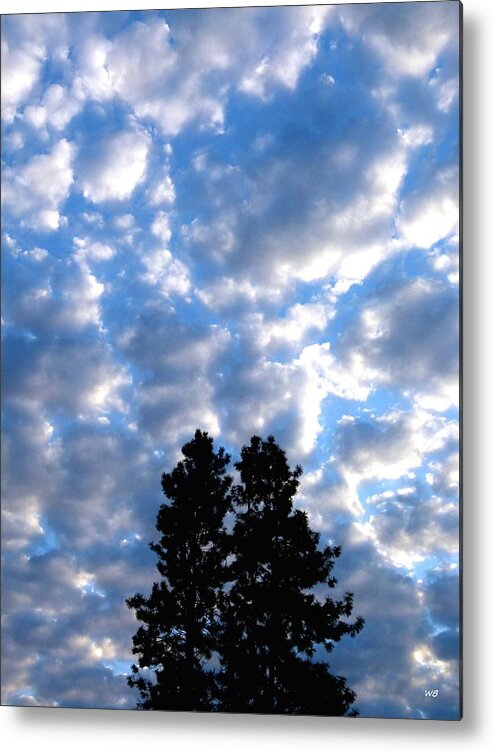 Sunrise Metal Print featuring the photograph Dawn Sky 2 by Will Borden