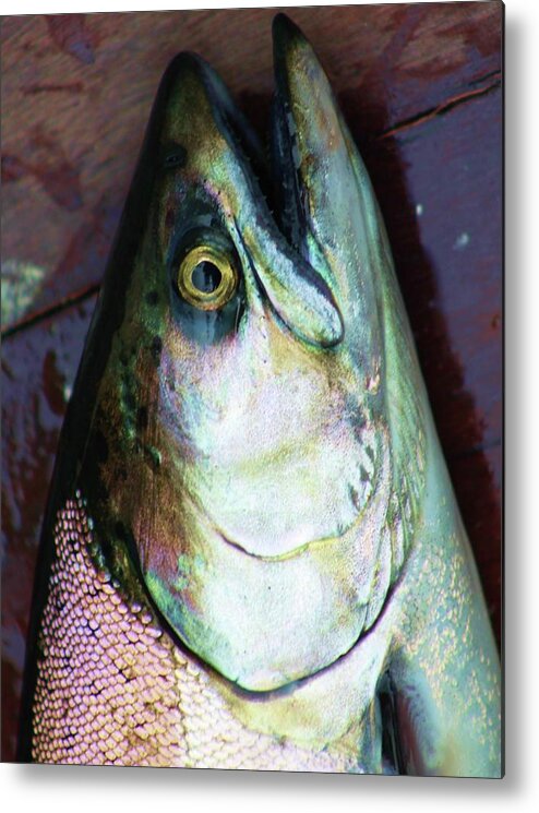 Fish Metal Print featuring the photograph Fish by Fred Bailey