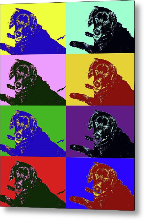 Dog Metal Print featuring the photograph Foster Dog Pop Art by Kathy K McClellan