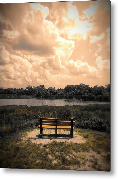 Bench Metal Print featuring the digital art From Here to Eternity by Robert Stanhope