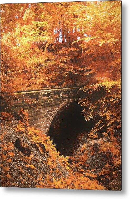 Fall Metal Print featuring the photograph Golden Crossing by Jason Fink