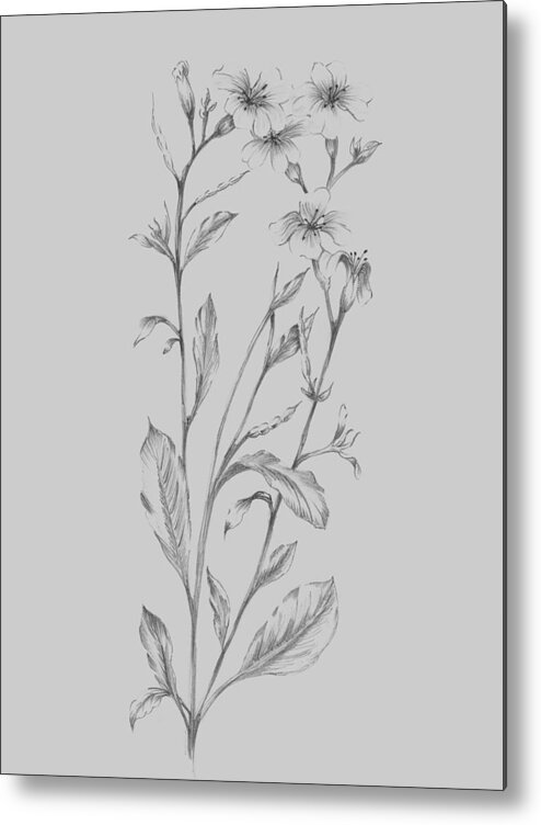 Flower Metal Print featuring the mixed media Grey Flower Sketch Illustration by Naxart Studio