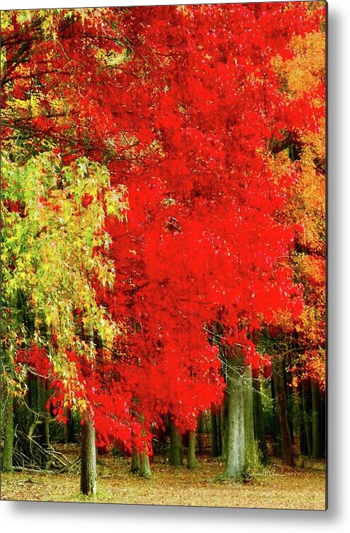 Autumn Metal Print featuring the photograph Impressionist Autumn by Shawn M Greener