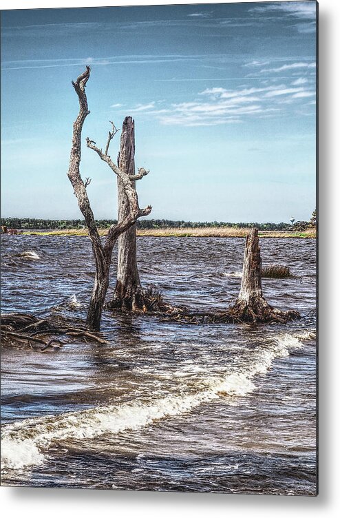 Nature Metal Print featuring the photograph Land and Sea by Bearj B Photo Art