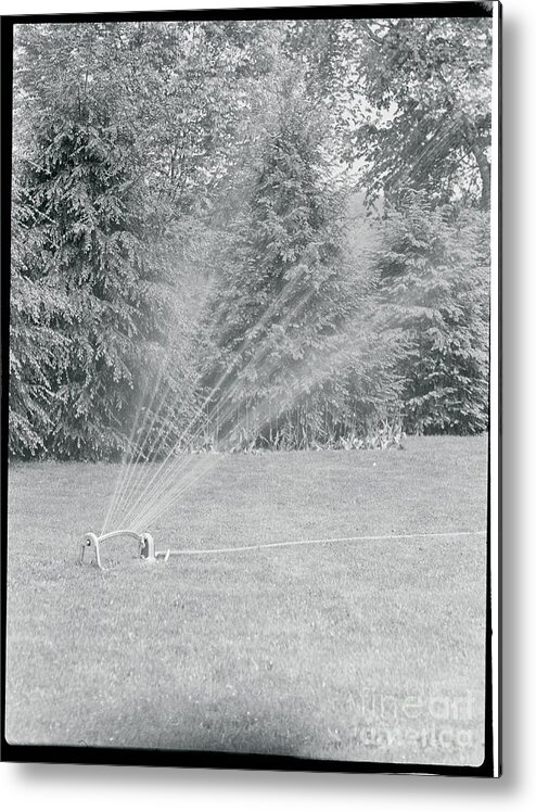 Outdoors Metal Print featuring the photograph Lawn Sprinkler On Lawn by Bettmann