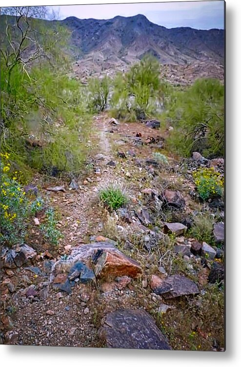 Affordable Metal Print featuring the photograph Long Way to Go by Judy Kennedy