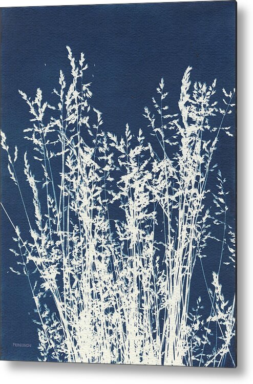 Blue Metal Print featuring the photograph Ornamental Grass I by Kathy Ferguson