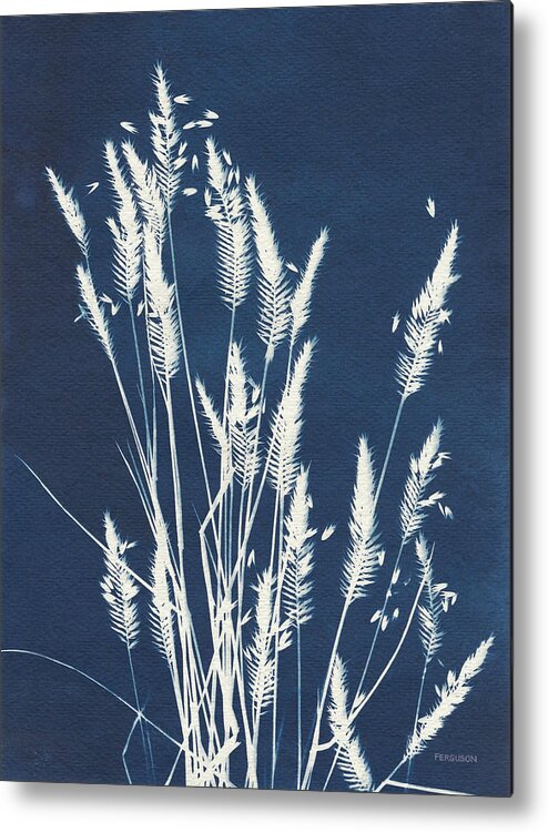 Blue Metal Print featuring the photograph Ornamental Grass IIi by Kathy Ferguson