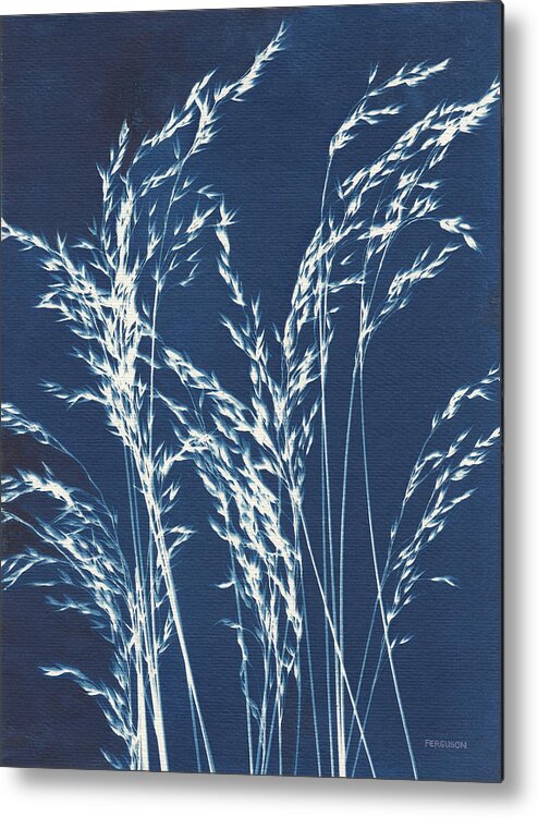 Blue Metal Print featuring the photograph Ornamental Grass V by Kathy Ferguson