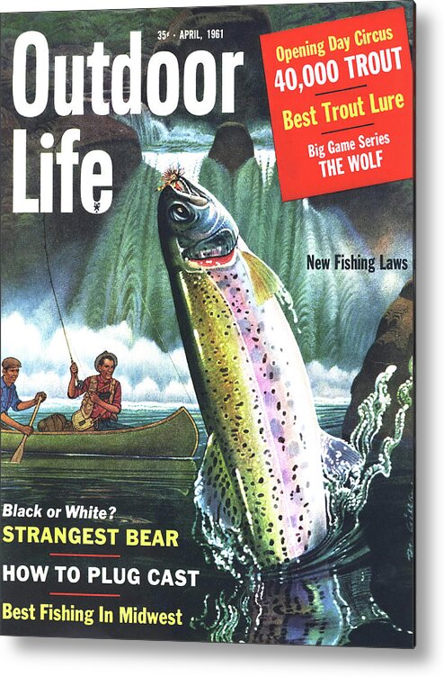 Trout Metal Print featuring the drawing Outdoor Life Magazine Cover April 1961 by Outdoor Life