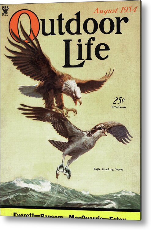 Exotic Metal Print featuring the painting Outdoor Life Magazine Cover August 1934 by Outdoor Life