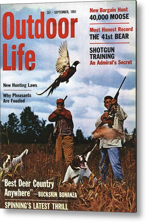 Pheasant Metal Print featuring the photograph Outdoor Life Magazine Cover September 1961 by Outdoor Life