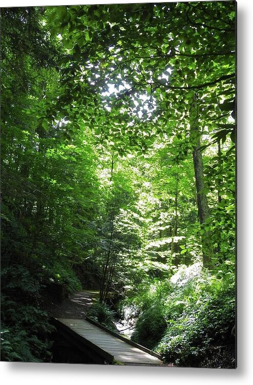 Green Metal Print featuring the photograph Oxygen Trail by Kathy Chism