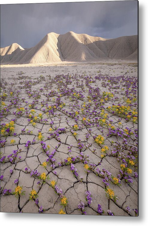 Utah Metal Print featuring the photograph Parched Earth by Emily Dickey