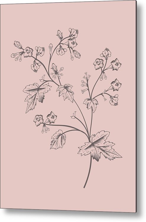 Phacelia Metal Print featuring the mixed media Phacelia Blush Pink Flower by Naxart Studio