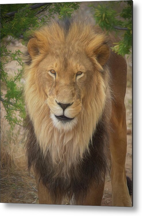 Lion Metal Print featuring the mixed media Portrait of a King by TL Wilson Photography by Teresa Wilson