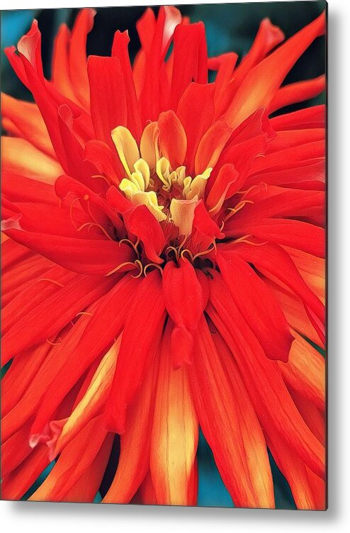 Red Metal Print featuring the digital art Red Bliss by Cindy Greenstein