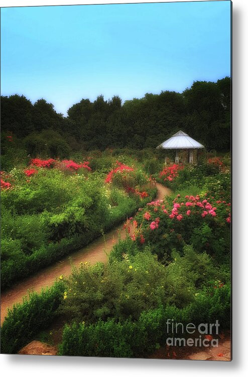 Landscape Metal Print featuring the photograph Romantic Rose Garden by Yvonne Johnstone