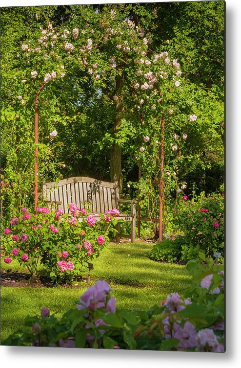 Garden Metal Print featuring the photograph Rose Arbor by Mark Mille