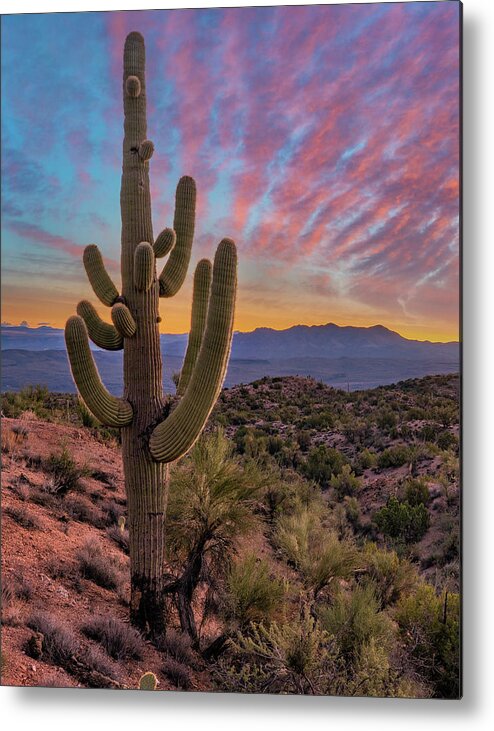 Aquarius Mountains Metal Print featuring the photograph Saguaro And The Aquarius Mountains by Tim Fitzharris