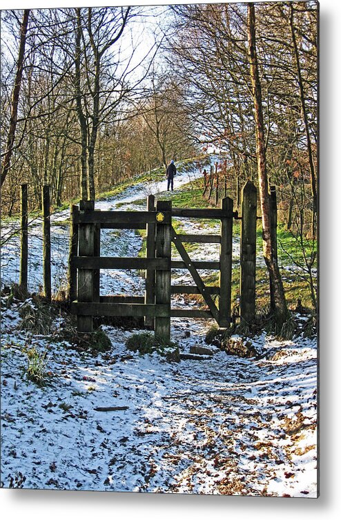 Snow Metal Print featuring the photograph Snowy Path by Lachlan Main