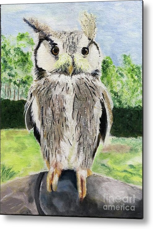 Owl Metal Print featuring the painting Steve by Kate Conaboy