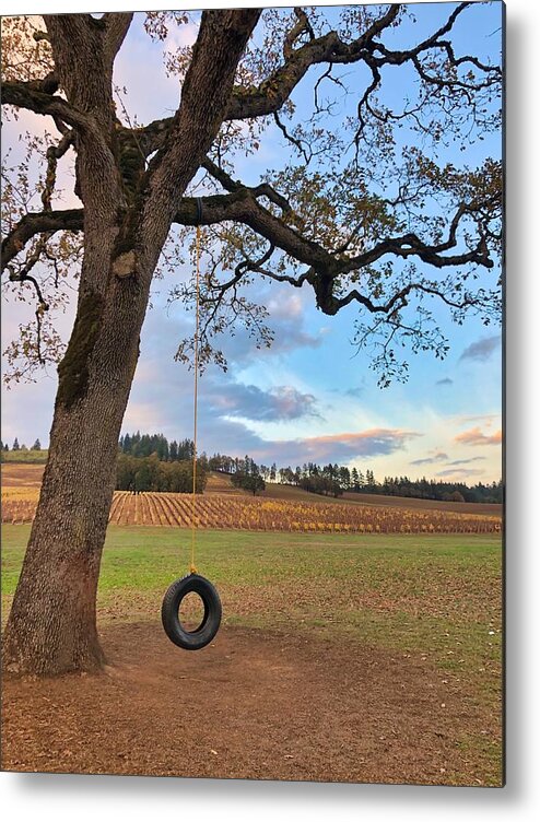 Tree Metal Print featuring the photograph Swing In Tree by Brian Eberly