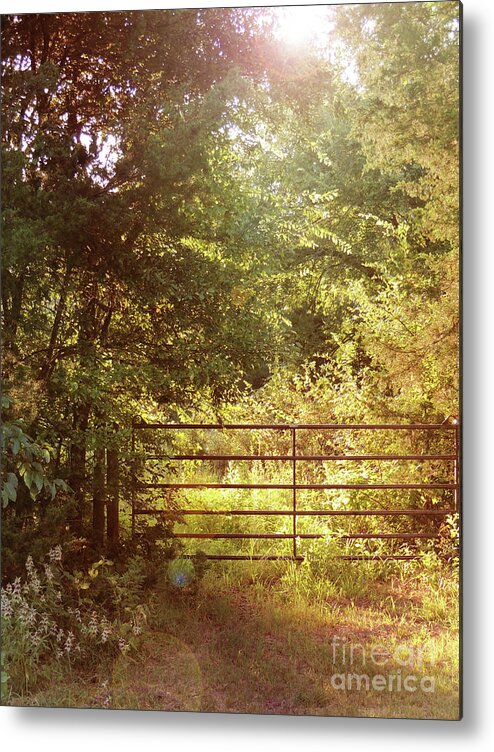 Autumn Metal Print featuring the photograph Through a Country Gate by Jayne Wilson