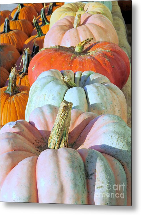 Pumpkins Metal Print featuring the photograph Variety of Pumpkins by Janice Drew