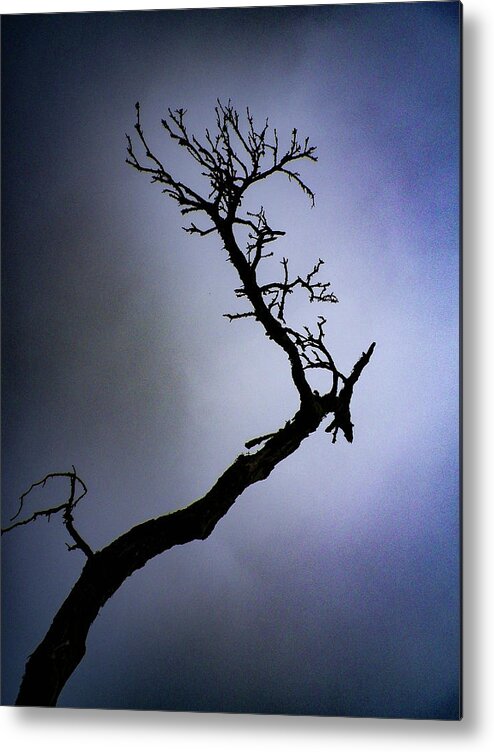 Branch Metal Print featuring the photograph Weathered Tree Branch Silhouette Bodmin Moor by Richard Brookes