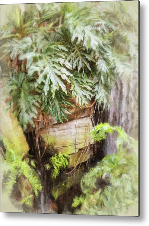 Tropical Metal Print featuring the photograph Welcome To The Jungle by Leslie Montgomery