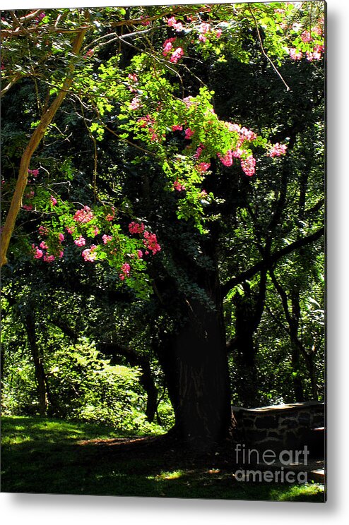Summer Metal Print featuring the photograph Woodland Serenity No.2 by Steve Ember