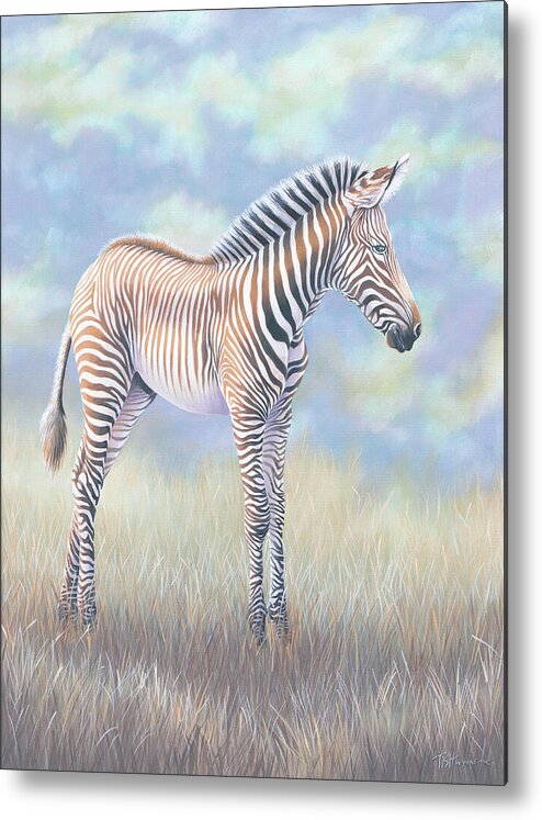 Grevy's Zebra Metal Print featuring the painting Young Grevy Zebra by Tish Wynne