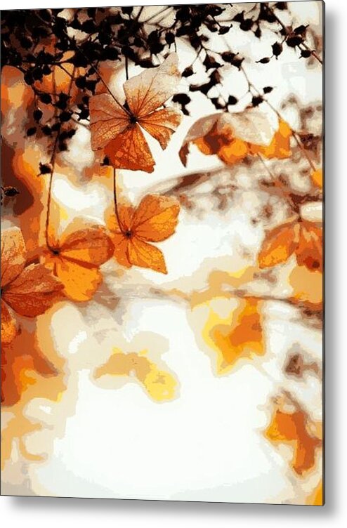 Fall Metal Print featuring the digital art Colors Of Fall #1 by J Richey